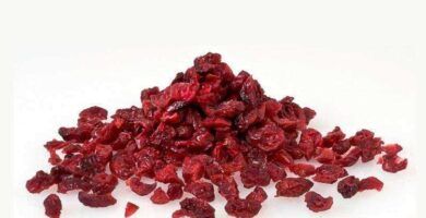 arandanos rojos saludables