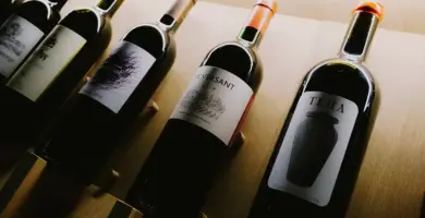 botella de vino tinto costoso