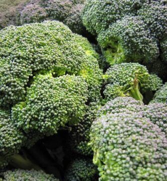 brocoli y acido urico