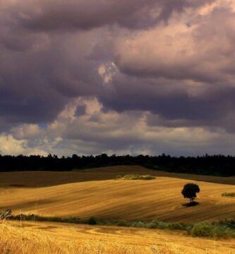 campos de castilla en soria