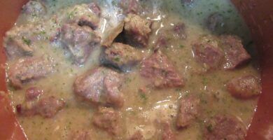 carne guisada en olla gm