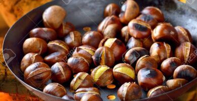 castanas asandose en una fogata