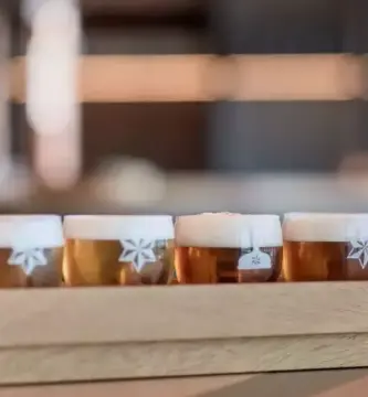comparacion de cervezas tostadas y rubias