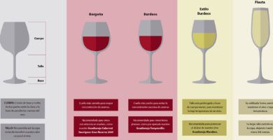 diferentes copas de vino
