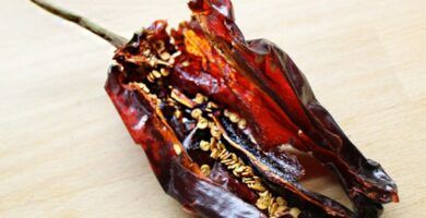 el pimiento choricero
