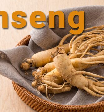 ginseng y magnesio en accion