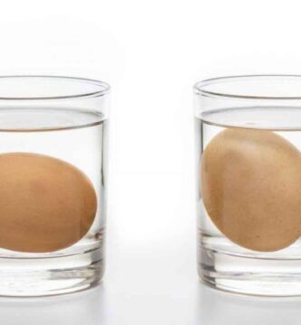 huevo en vaso de agua