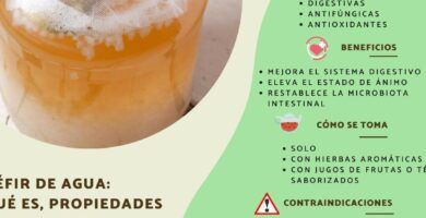 kefir de agua y sus beneficios