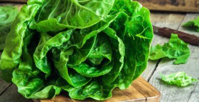 lechuga fresca