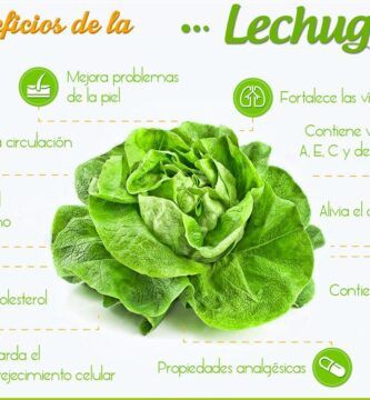 lechuga y sus beneficios