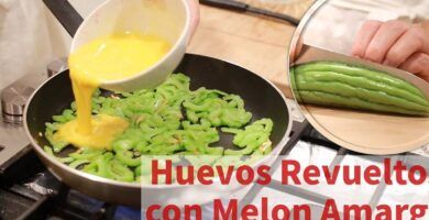 melon amargo en diferentes preparaciones