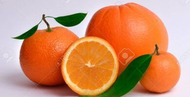 naranjas frescas y jugosas