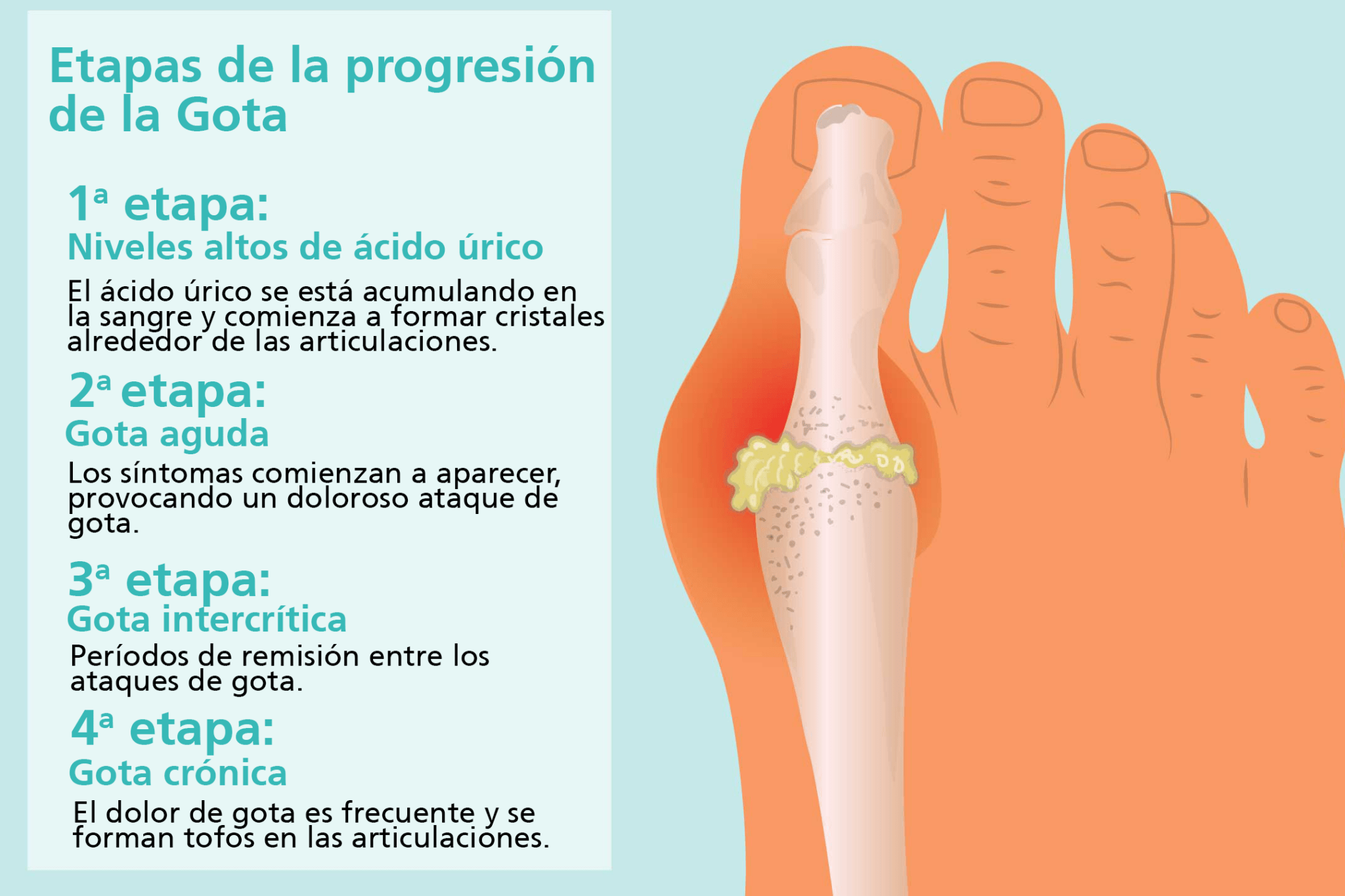 qu-es-el-cido-rico-en-la-sangre-descubre-c-mo-afecta-tu-cuerpo-y