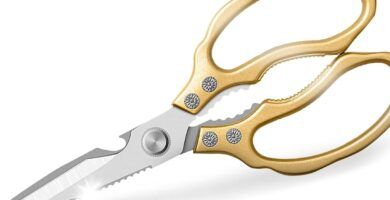 normativas actualizadas sobre tijeras