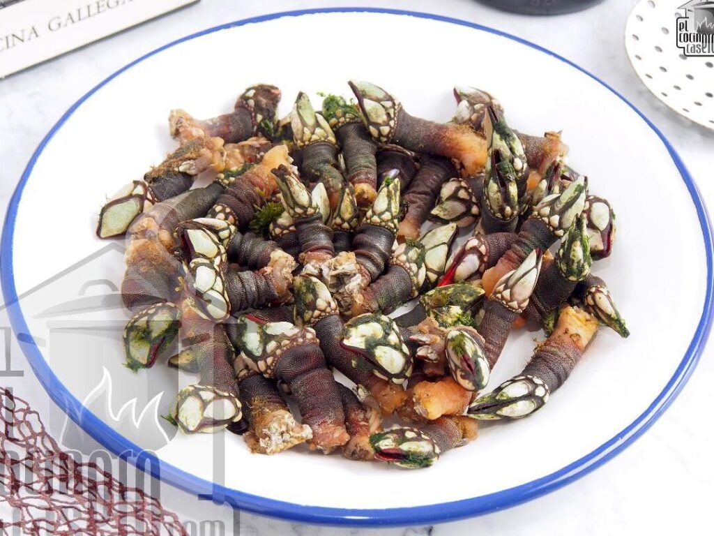 percebes frescos cocidos correctamente