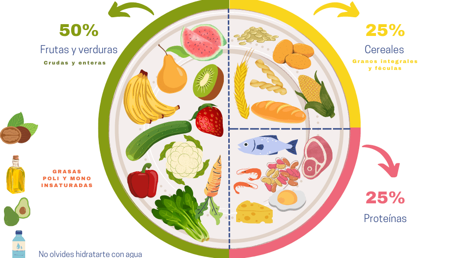 plato con alimentos saludables