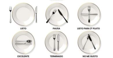 plato terminado y delicioso