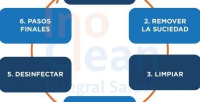 proceso de desinfeccion paso a paso