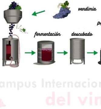 proceso de preparacion