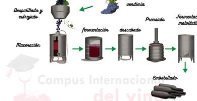 proceso de preparacion