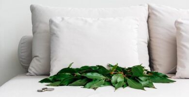 rama de laurel y una almohada