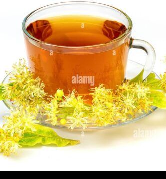 ramas de tilo y taza de te