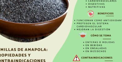 semilla de amapola y sus usos