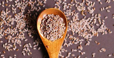 semillas de psyllium