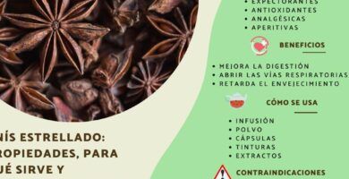 te de anis y sus beneficios
