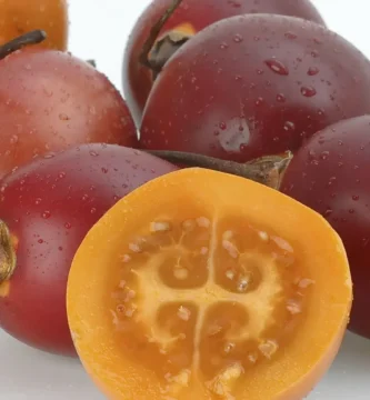 tomate como fruta