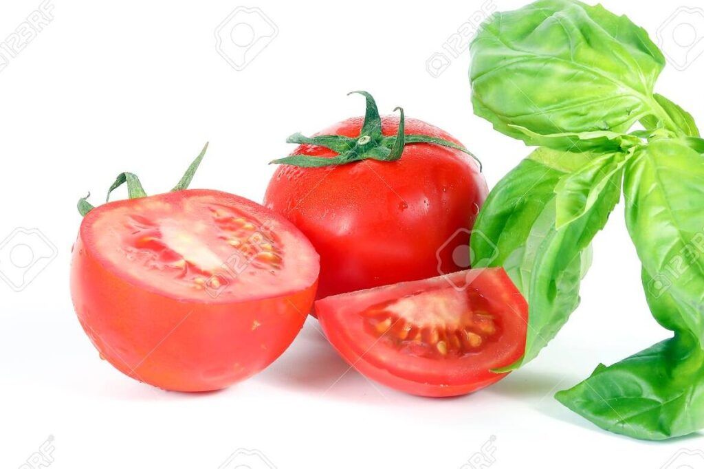 tomate fresco y ingredientes