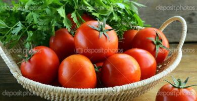 tomates frescos y maduros