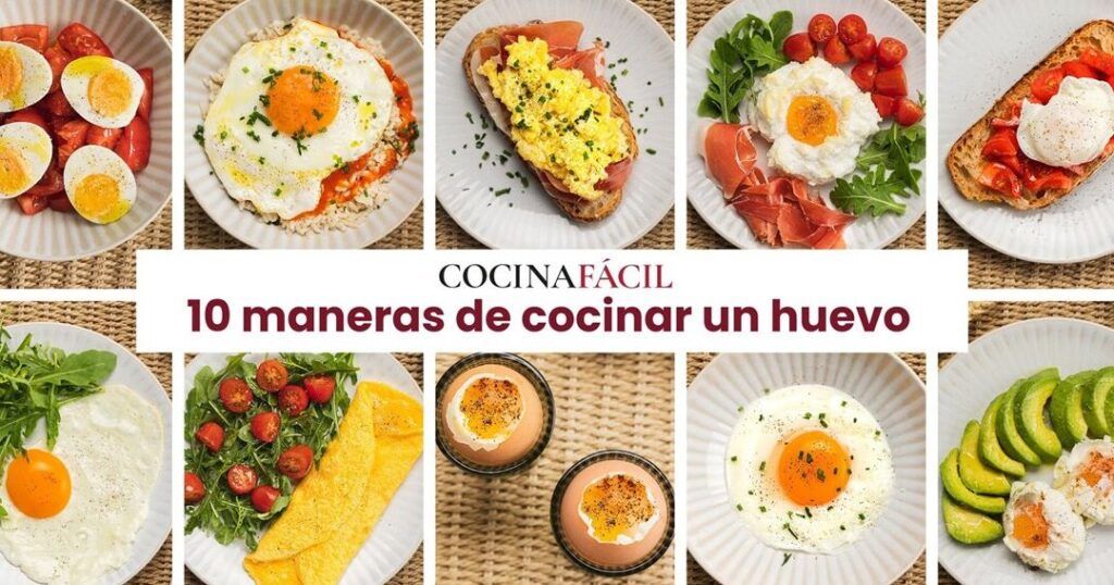 variedad de platos de huevo