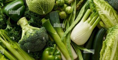 variedad de verduras frescas