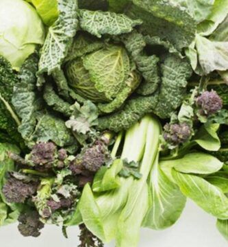 verduras de hoja verde