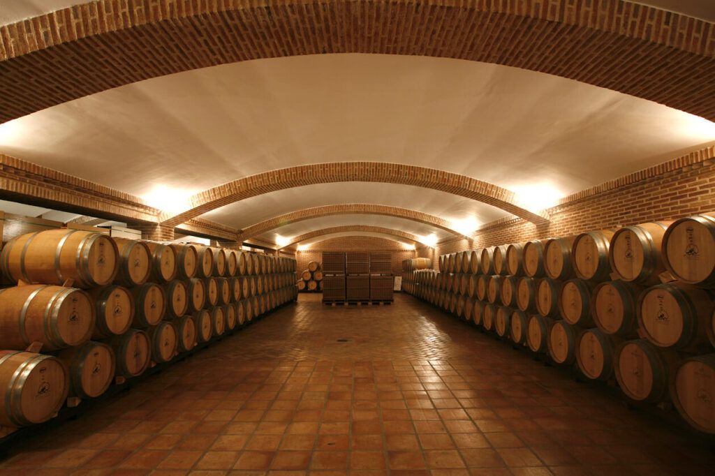 vinedo y bodega