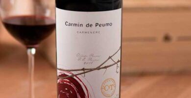 vino recomendado