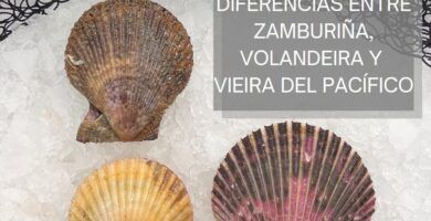 zamburina y vieira del pacifico